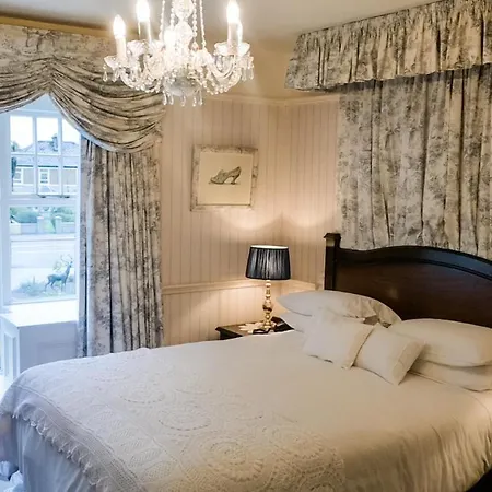 Herbert House ,v93 Rf64 ゲストハウス